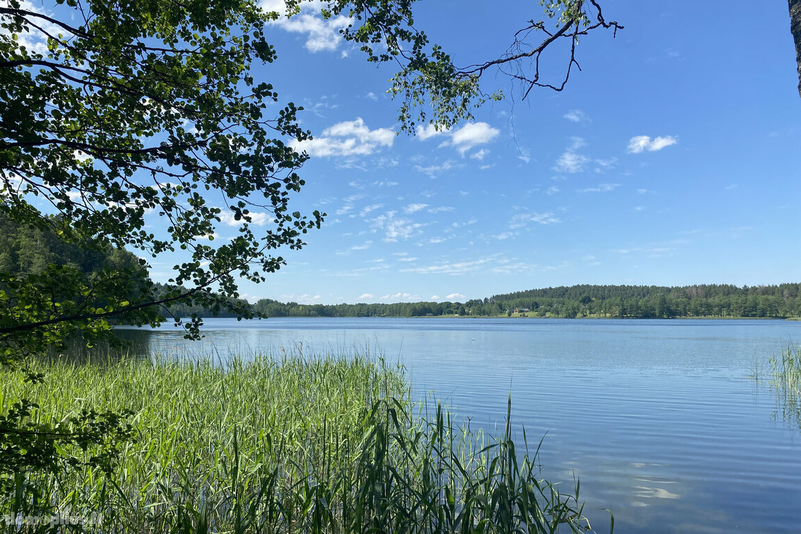 Parduodamas sklypas Trakų rajono sav., Lausgeniuose