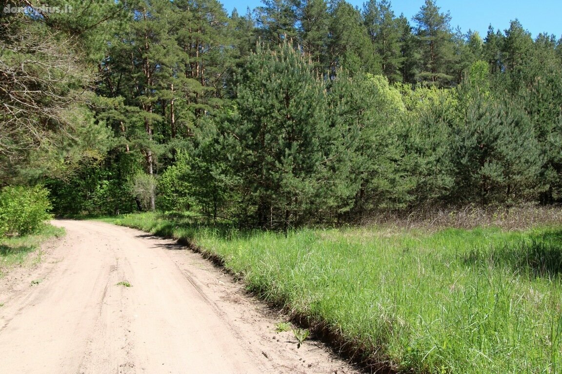 Parduodamas sklypas Trakų rajono sav., Vilkokšnyje
