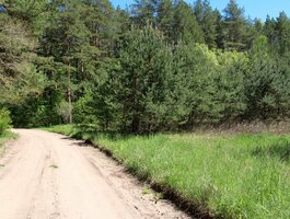 Parduodamas sklypas Trakų rajono sav., Vilkokšnyje