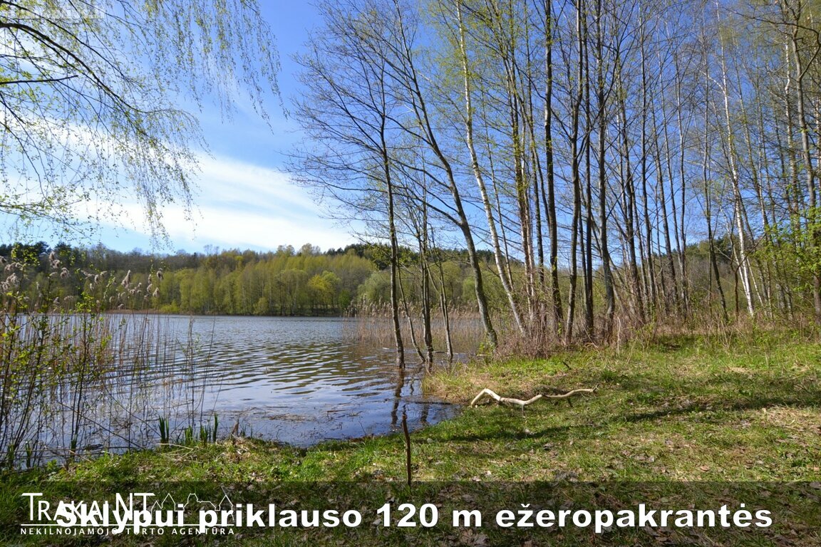 Parduodamas sklypas Trakų rajono sav., Kudrionyse