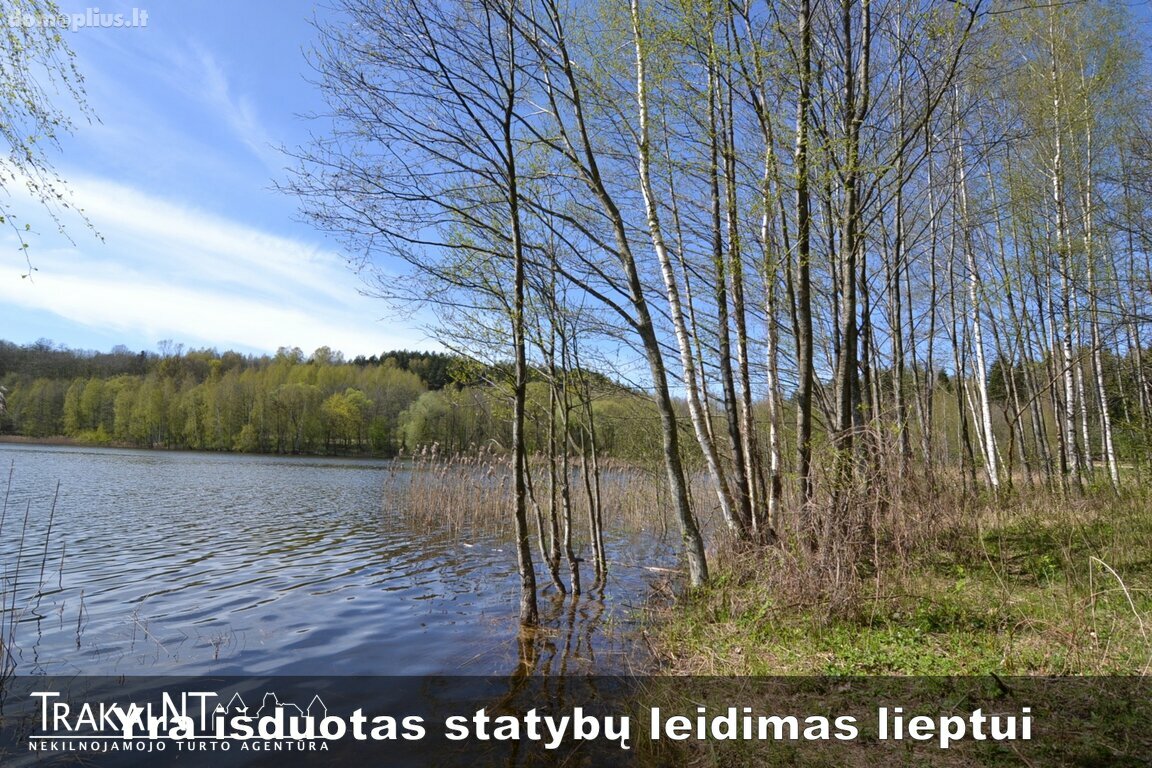 Parduodamas sklypas Trakų rajono sav., Kudrionyse