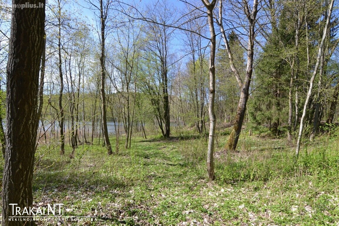 Parduodamas sklypas Trakų rajono sav., Kudrionyse