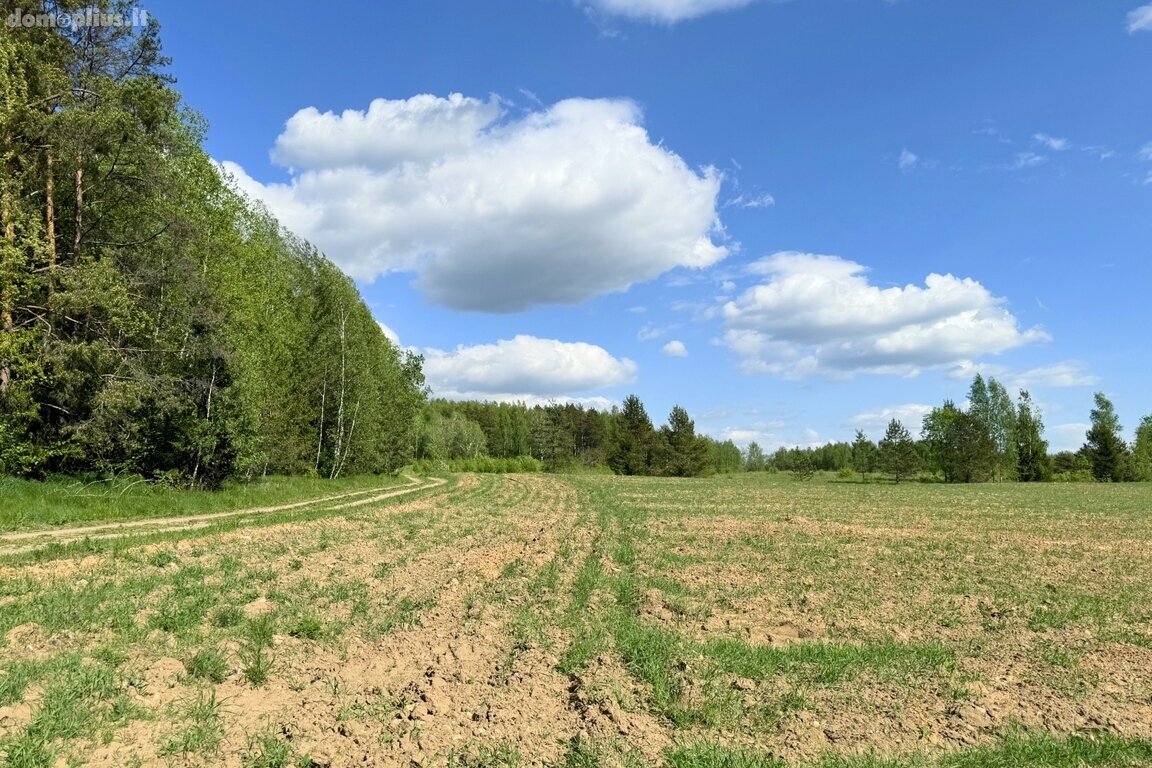 Parduodamas sklypas Trakų rajono sav., Vytautavoje