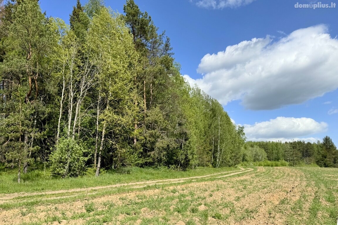 Parduodamas sklypas Trakų rajono sav., Vytautavoje