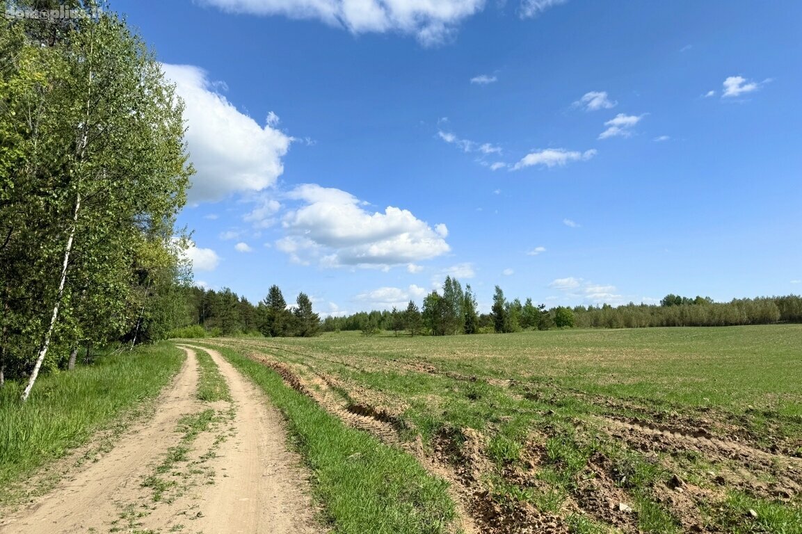 Parduodamas sklypas Trakų rajono sav., Vytautavoje