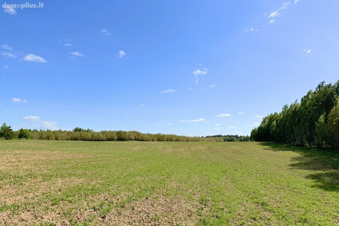 Parduodamas sklypas Trakų rajono sav., Vytautavoje