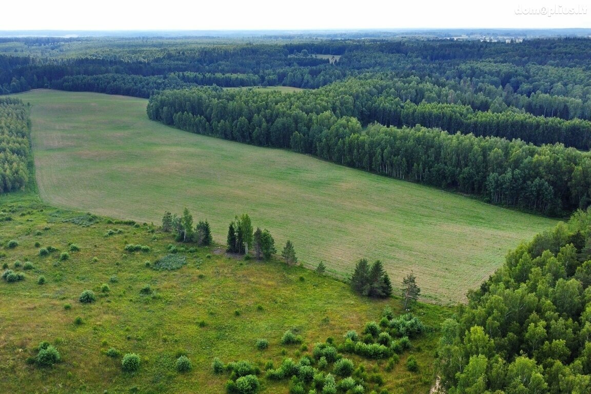 Parduodamas sklypas Trakų rajono sav., Vytautavoje