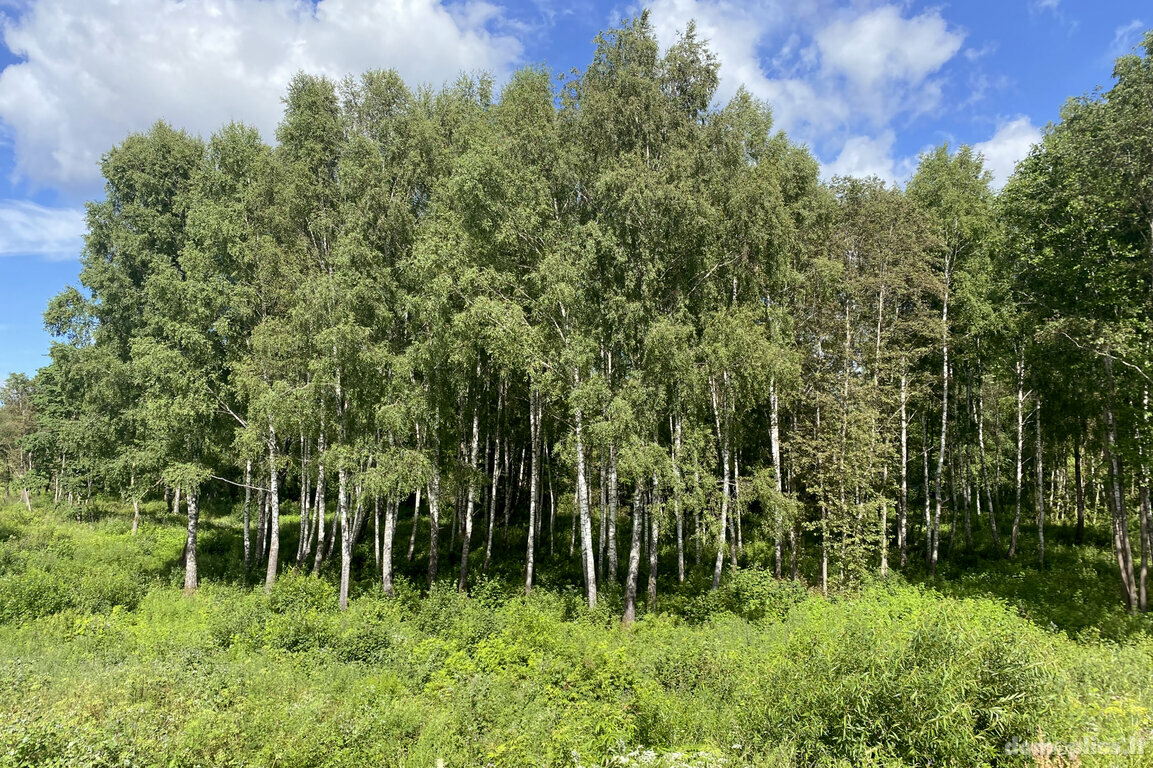 Parduodamas sklypas Trakų rajono sav., Padvariškėse
