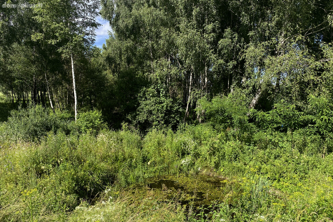 Parduodamas sklypas Trakų rajono sav., Padvariškėse
