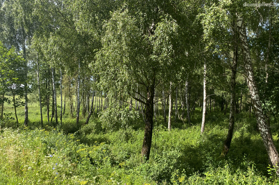 Parduodamas sklypas Trakų rajono sav., Padvariškėse