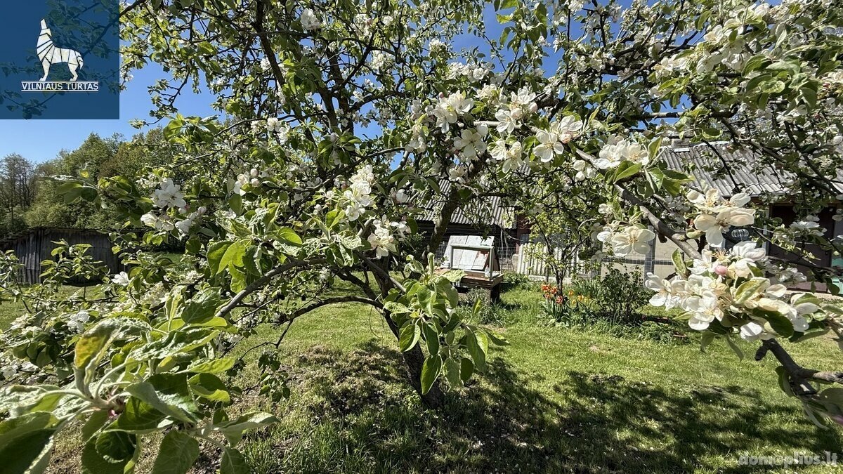 Parduodamas sklypas Šalčininkų rajono sav., Pamerkyje