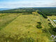 Land for sale Kunigiškėse, Paliepgirių kel. (3 picture)