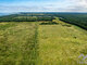 Land for sale Kunigiškėse, Paliepgirių kel. (7 picture)