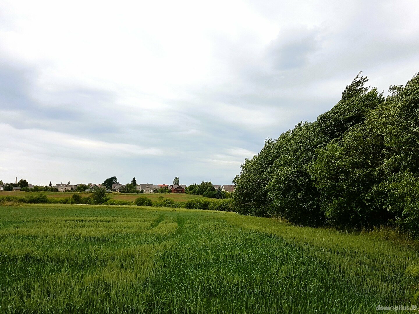 Land for sale Kaišiadorių rajono sav., Antakalnyje