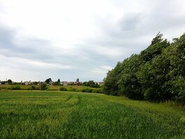 Land for sale Kaišiadorių rajono sav., Antakalnyje
