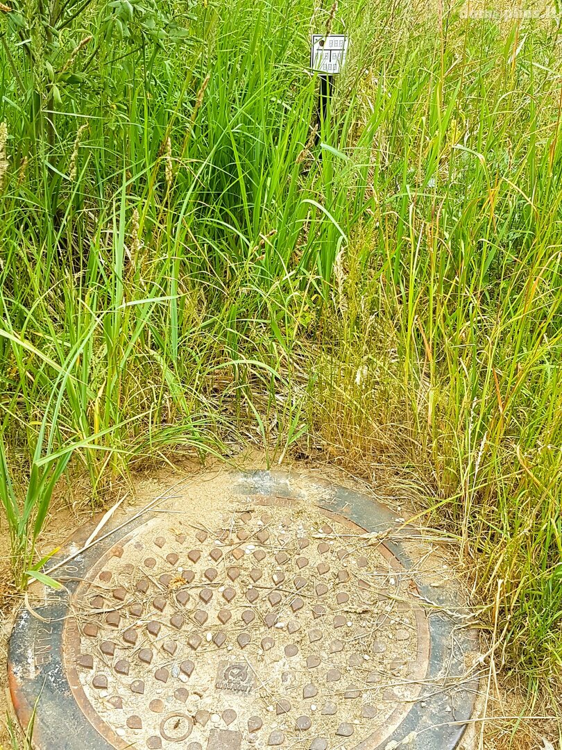 Land for sale Kaišiadorių rajono sav., Antakalnyje