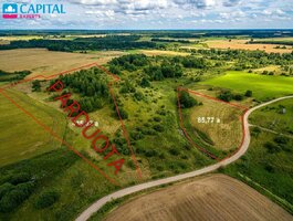 Land Širvintų rajono sav., Grigiškiuose
