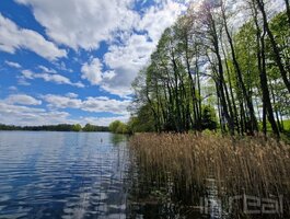 Parduodamas sklypas Ignalinos rajono sav., Sidariškėse