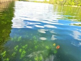 Parduodamas sklypas Ignalinos rajono sav., Sidariškėse