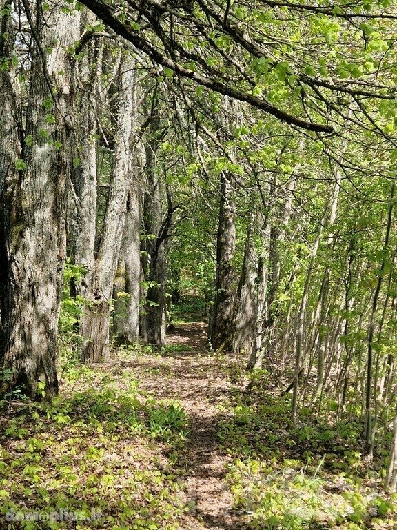 Parduodamas sklypas Ignalinos rajono sav., Sidariškėse