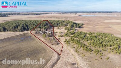 Parduodamas sklypas Trakų rajono sav., Senasis Tarpupis