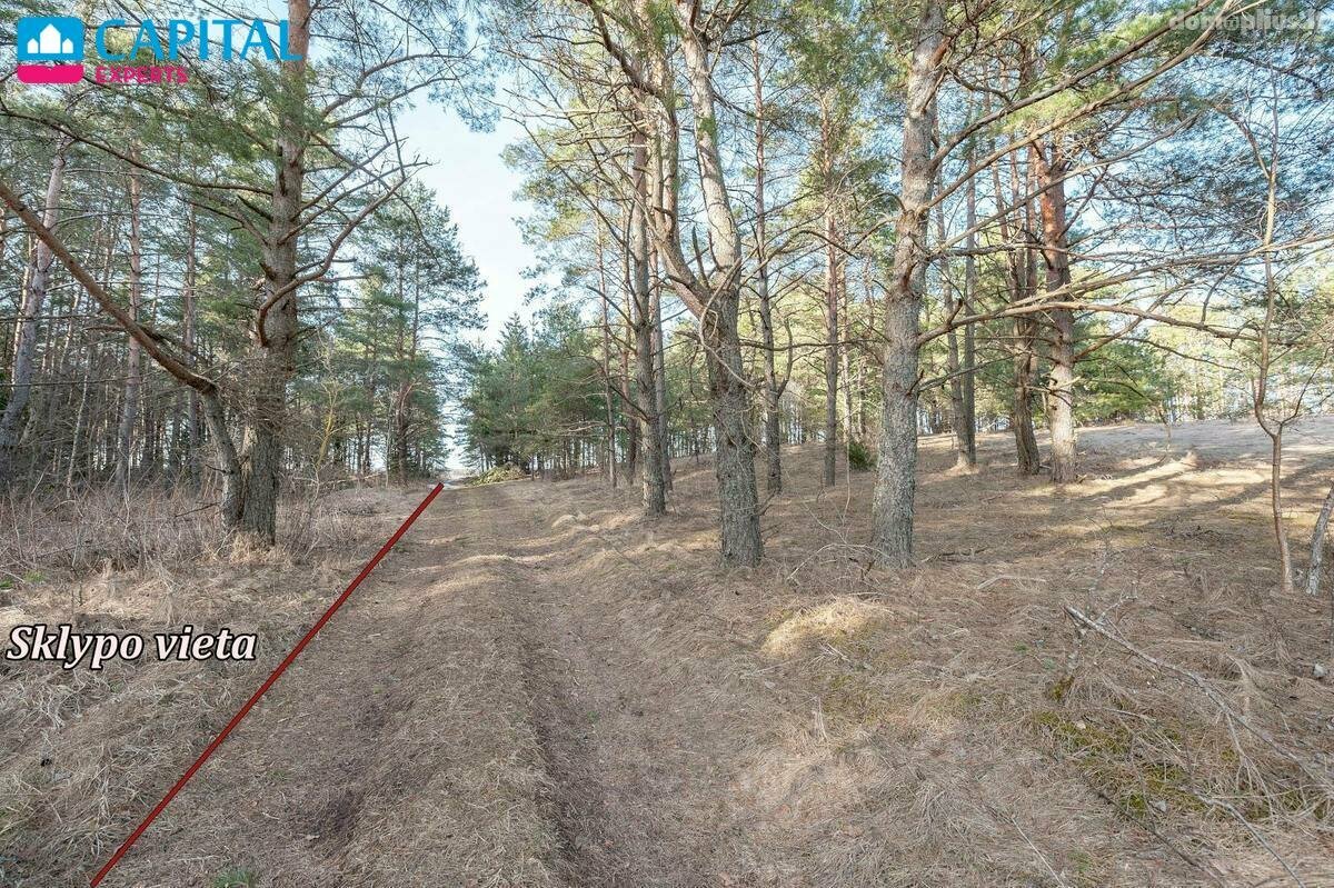 Parduodamas sklypas Trakų rajono sav., Senasis Tarpupis