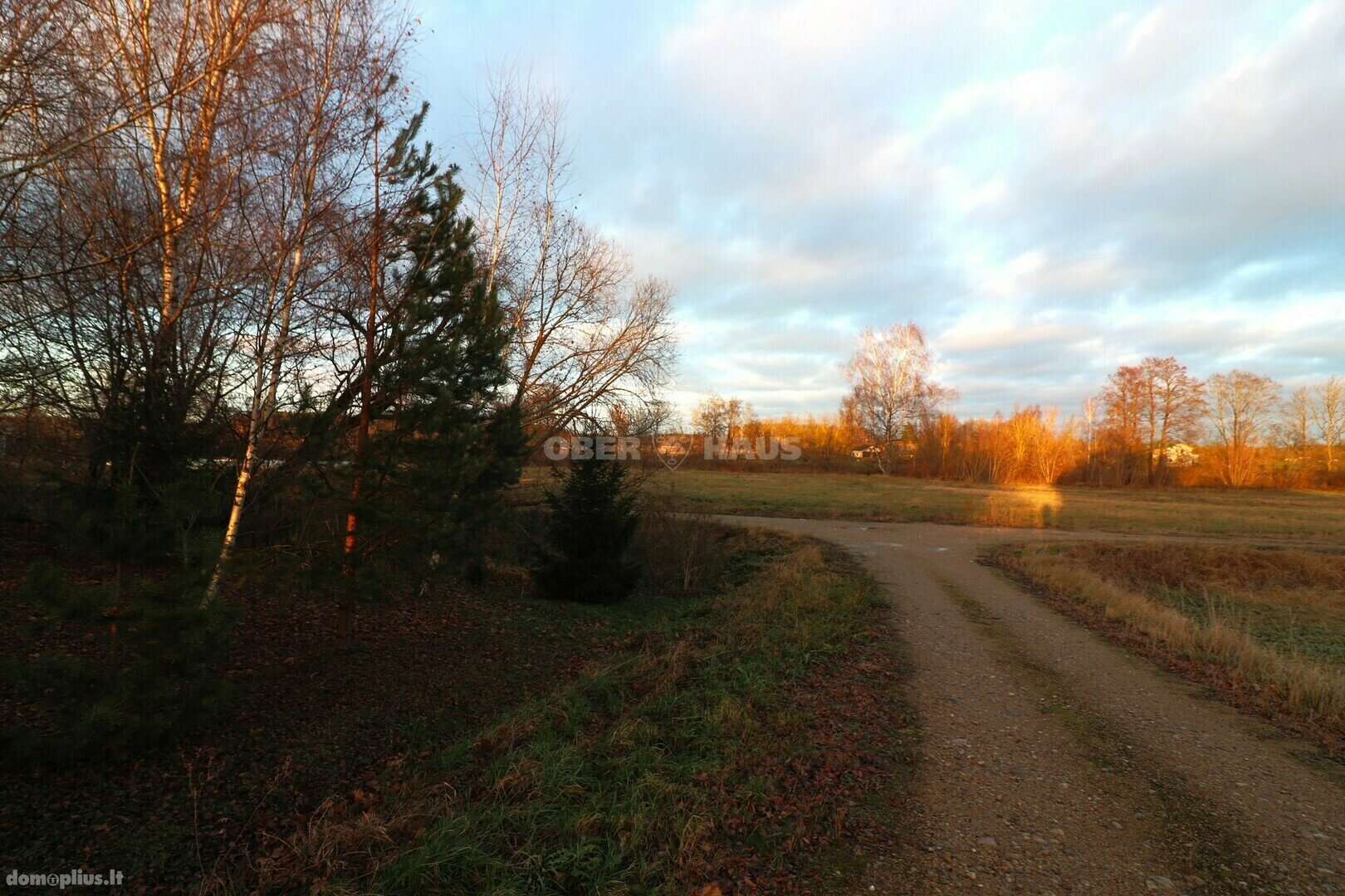 Parduodamas sklypas Panevėžio rajono sav., Paliūniškyje, Z. Malinsko g.
