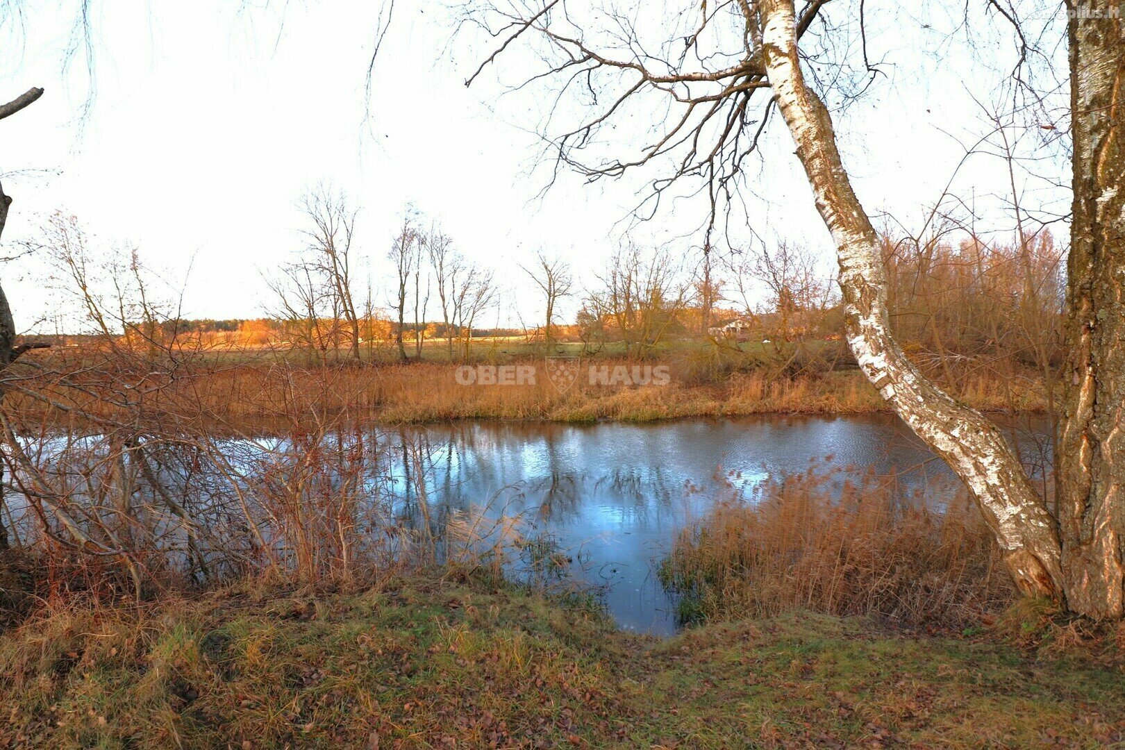Parduodamas sklypas Panevėžio rajono sav., Paliūniškyje, Z. Malinsko g.