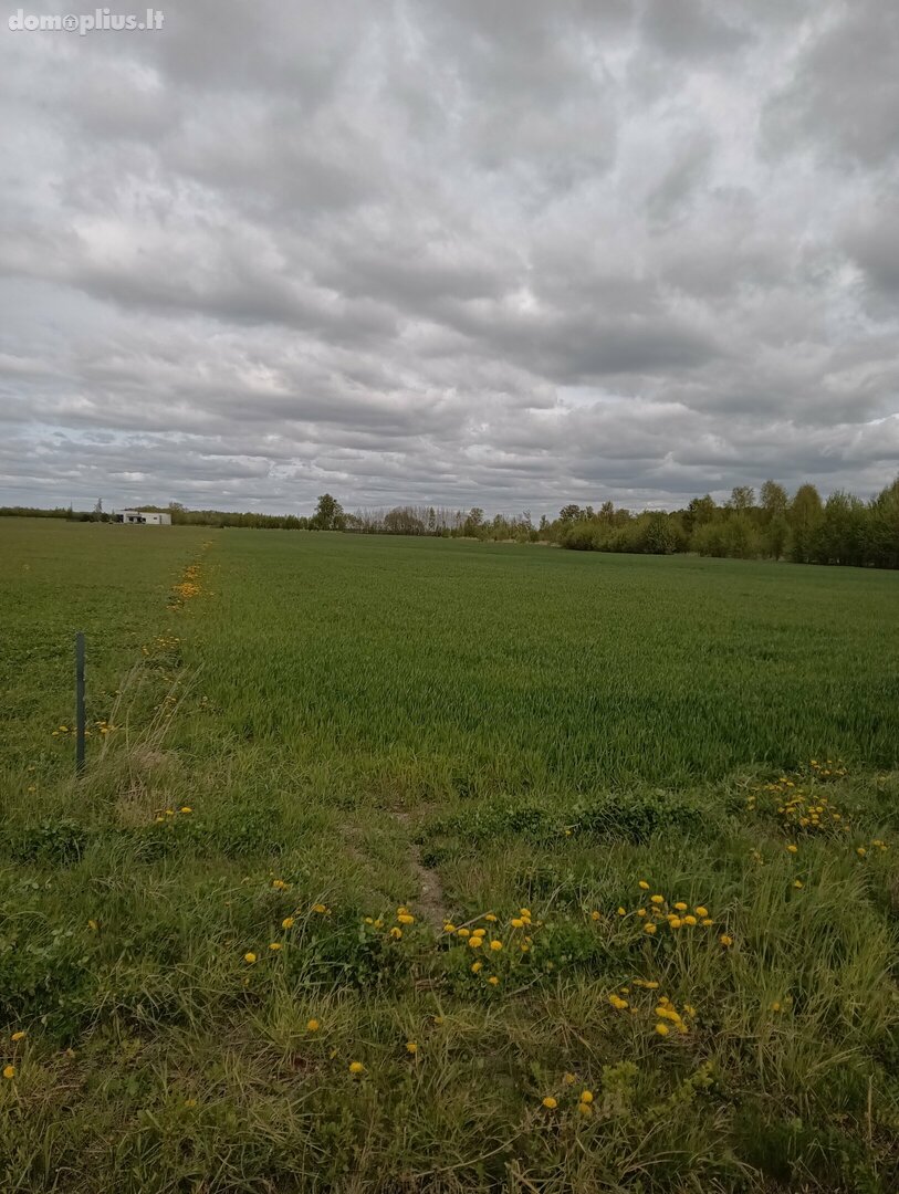 Land for sale Klaipėdos rajono sav., Radailiuose, Urbikių g.