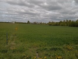 Parduodamas sklypas Klaipėdos rajono sav., Radailiuose, Urbikių g.
