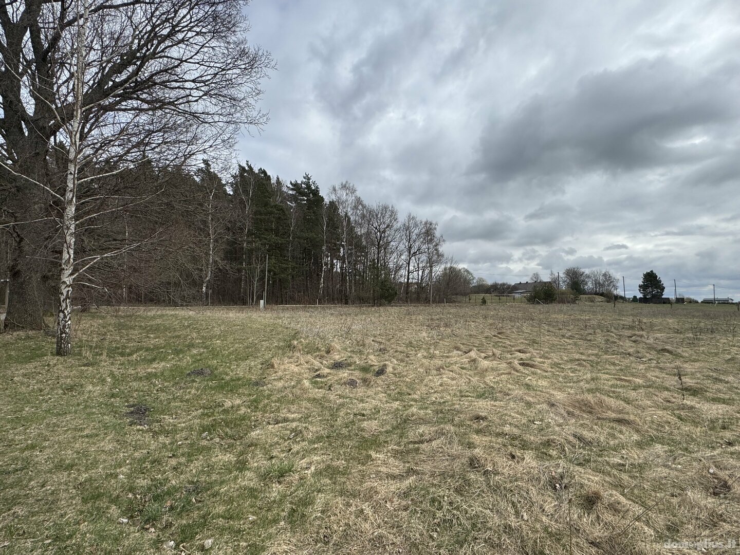 Участок Klaipėdos rajono sav., Drukiuose, Drukių g.