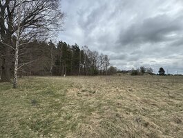 Parduodamas sklypas Klaipėdos rajono sav., Drukiuose, Drukių g.