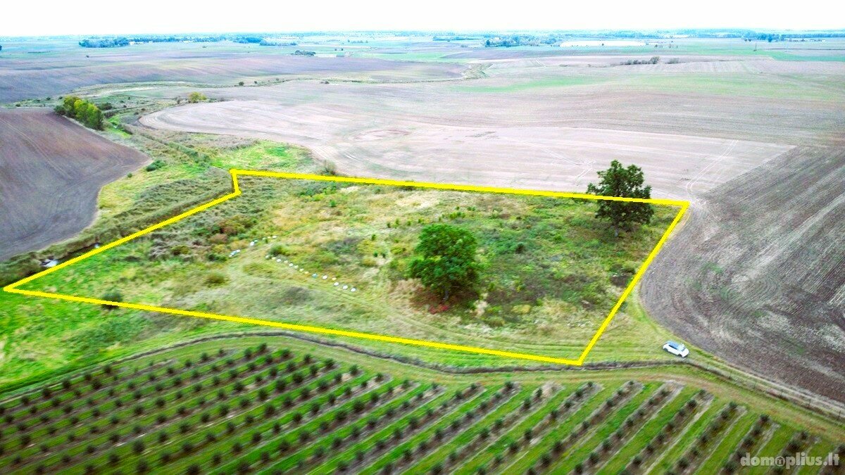 Land for sale Alytaus rajono sav., Saulėnuose