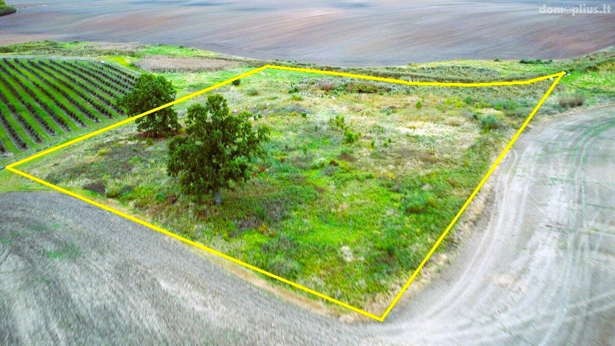 Land for sale Alytaus rajono sav., Saulėnuose