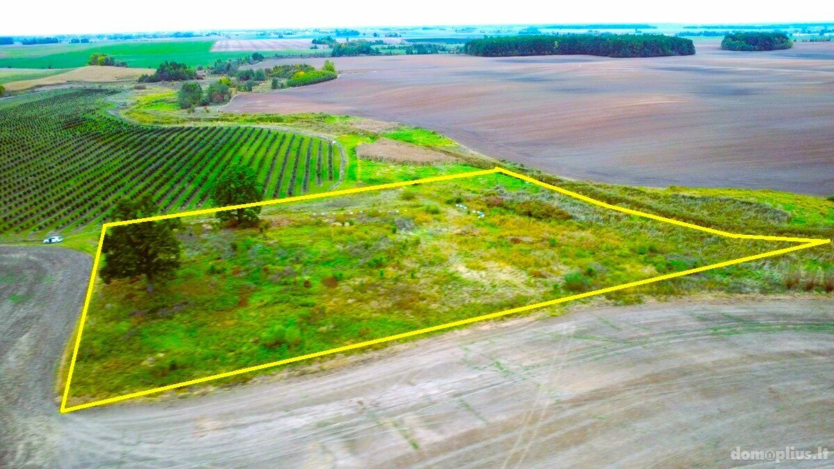 Land for sale Alytaus rajono sav., Saulėnuose