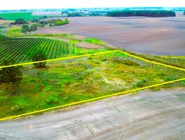 Land for sale Alytaus rajono sav., Saulėnuose