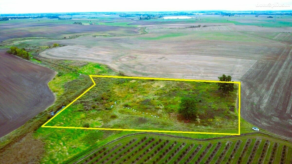 Land for sale Alytaus rajono sav., Saulėnuose