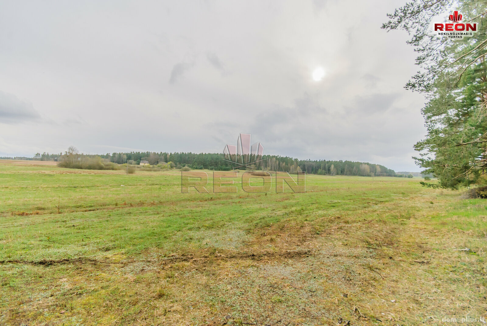 Land for sale Druskininkų sav., Snaigupėje, Paraistės g.