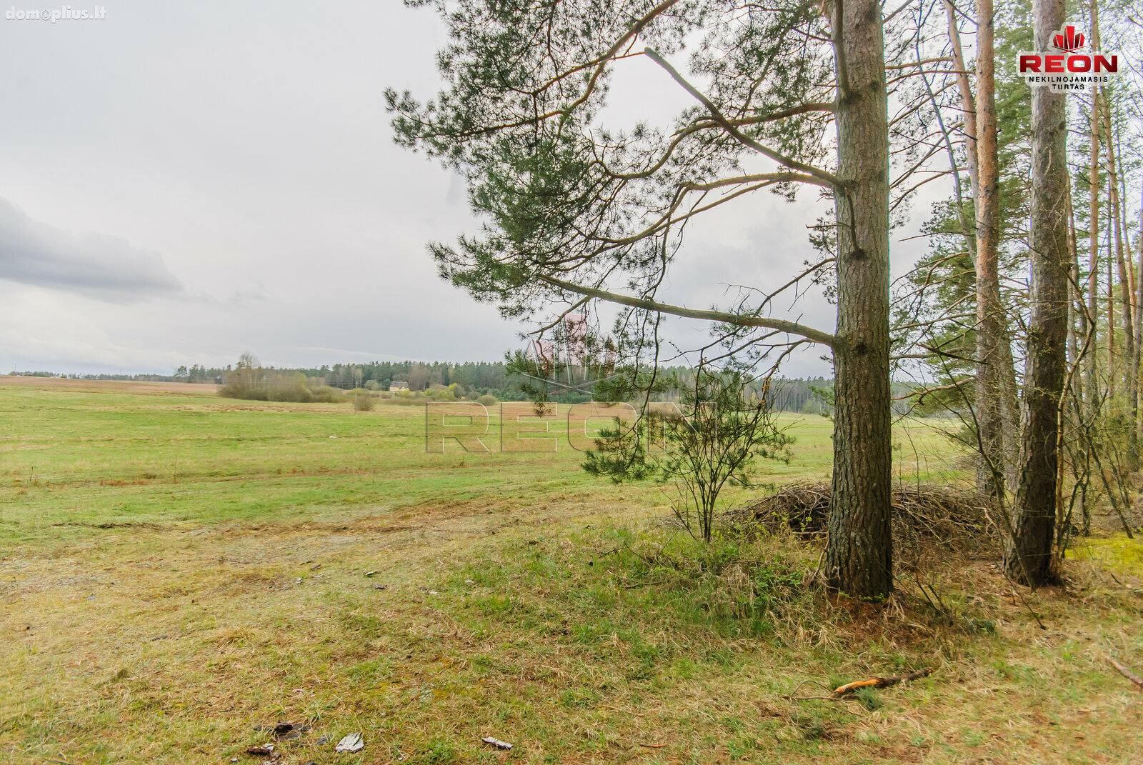 Land for sale Druskininkų sav., Snaigupėje, Paraistės g.