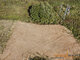 Land for sale Vilniaus rajono sav., Saldenėje, Gubojų g. (2 picture)
