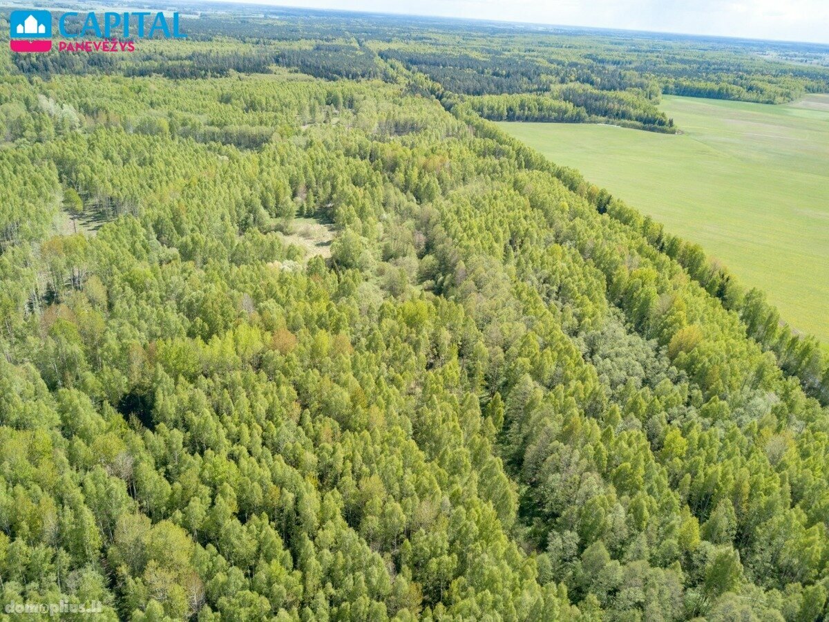 Parduodamas sklypas Panevėžio rajono sav., Kuzmiškyje