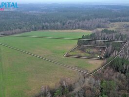 Sklypas Kaišiadorių rajono sav., Darsūniškyje