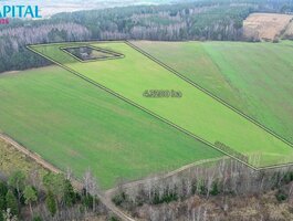 Parduodamas sklypas Kaišiadorių rajono sav., Darsūniškyje