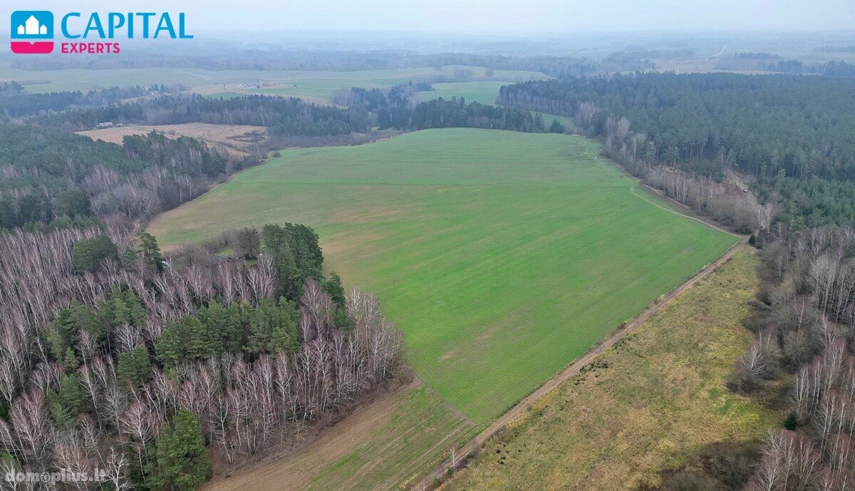 Parduodamas sklypas Kaišiadorių rajono sav., Darsūniškyje