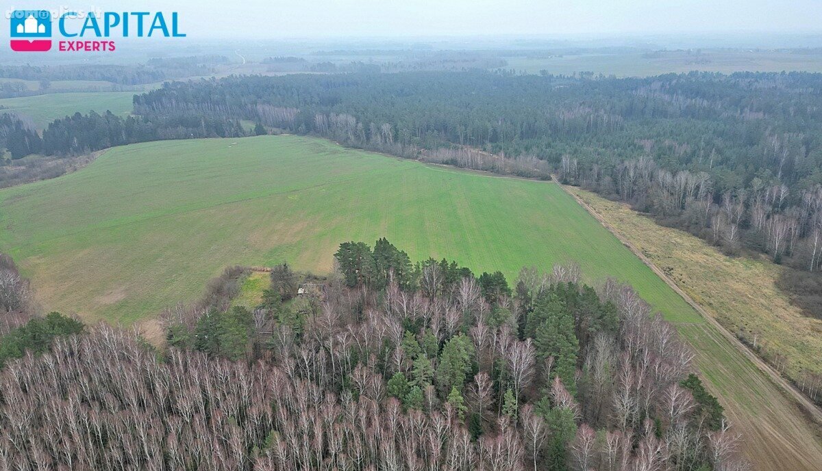 Parduodamas sklypas Kaišiadorių rajono sav., Darsūniškyje