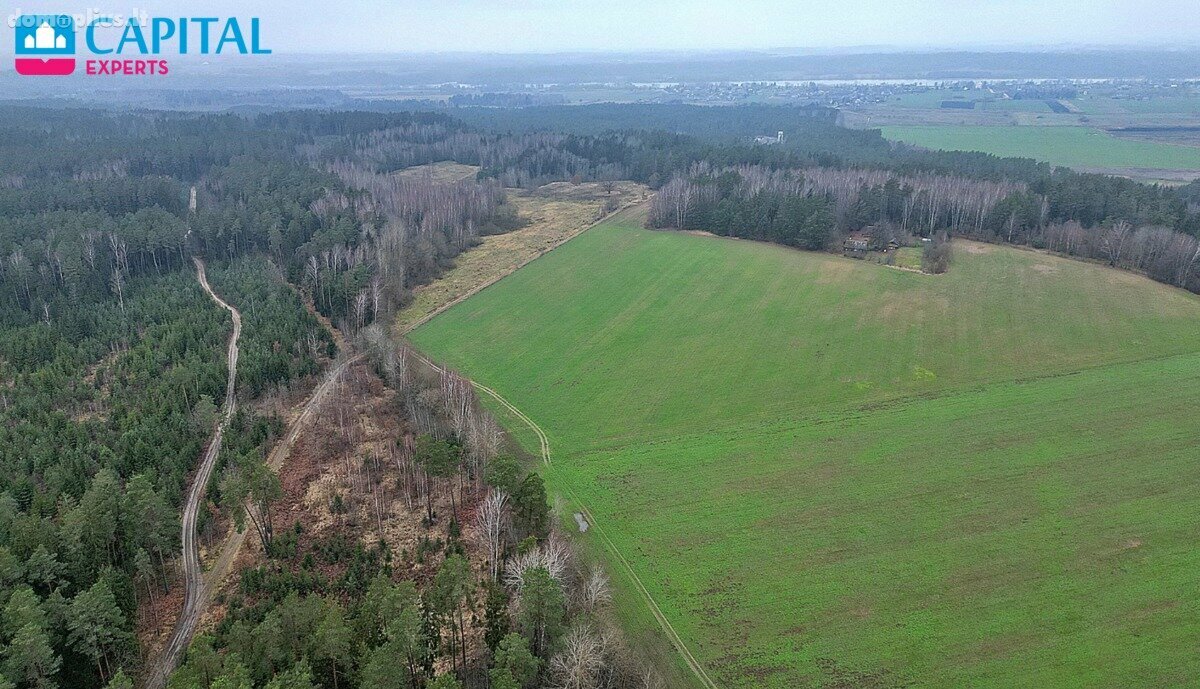 Parduodamas sklypas Kaišiadorių rajono sav., Darsūniškyje