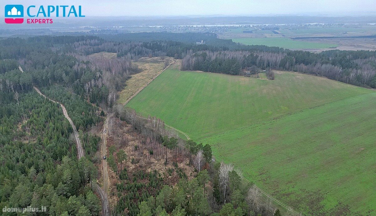 Parduodamas sklypas Kaišiadorių rajono sav., Darsūniškyje