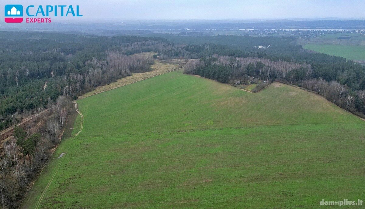 Parduodamas sklypas Kaišiadorių rajono sav., Darsūniškyje