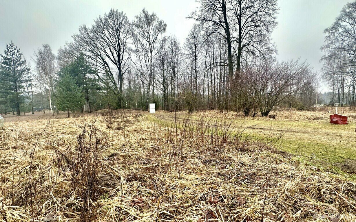Parduodamas sklypas Panevėžio rajono sav., Paežerys I