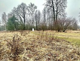 Sklypas Panevėžio rajono sav., Paežerys I